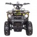 Электроквадроцикл GreenCamel Gobi K40 800W