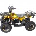 Электроквадроцикл GreenCamel Gobi K40 800W