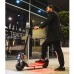 Электросамокат WS-TAIGA 800 W NARDO GRAY